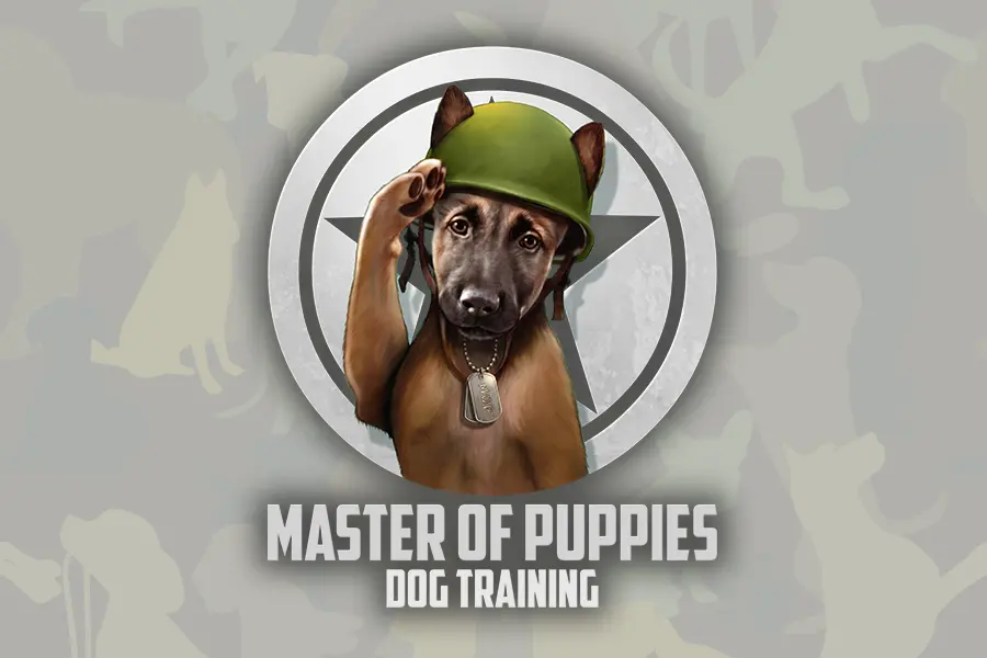 Dog Training Services