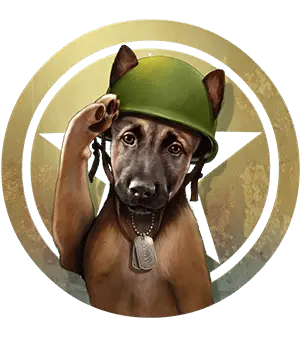 Dog Training Gold Coast