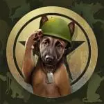 Dog Trainers Gold Coast Puppies Training at Affordable Rates