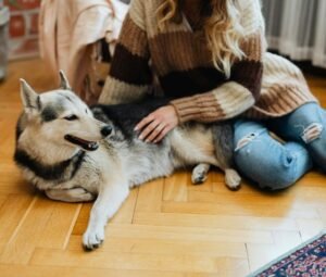 a girl is sitting beside dog on the floor