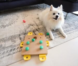 Dog playing puzzle game