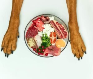 balanced diet for dog