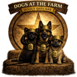 DOGGY DAYCARE GLENEAGLE HQ gold coast