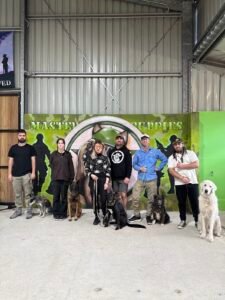 Dog Recall Training Gold Coast