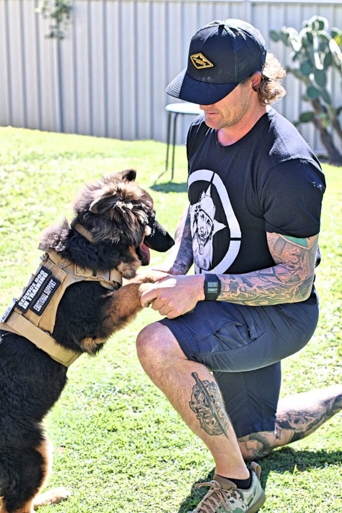 Dog Daycare Gold Coast