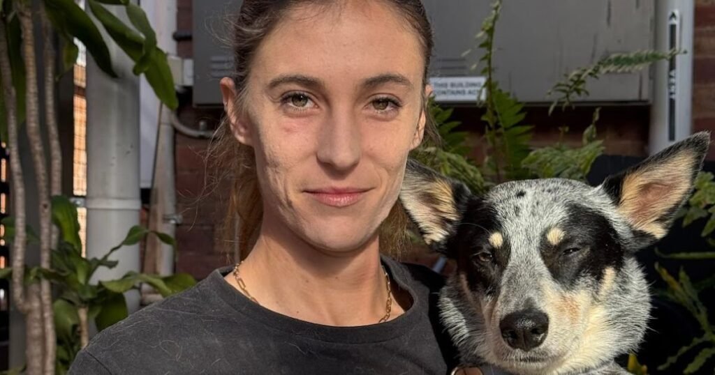 Puppy Behaviour Training Gold Coast