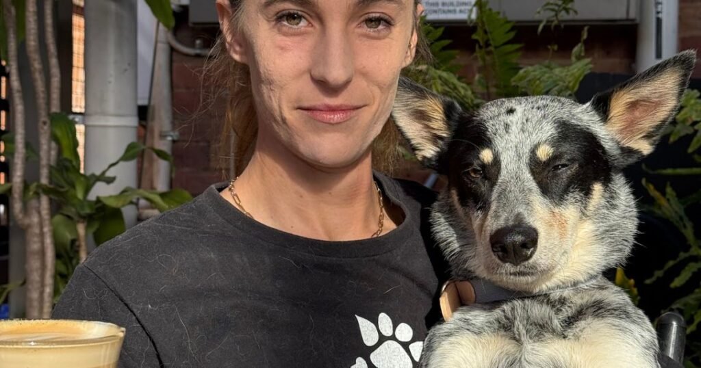 German Shepherd Puppy Training Gold Coast for obedience and behaviour development