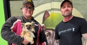 Early warning signs dog is getting overexcited around other dogs body language cues