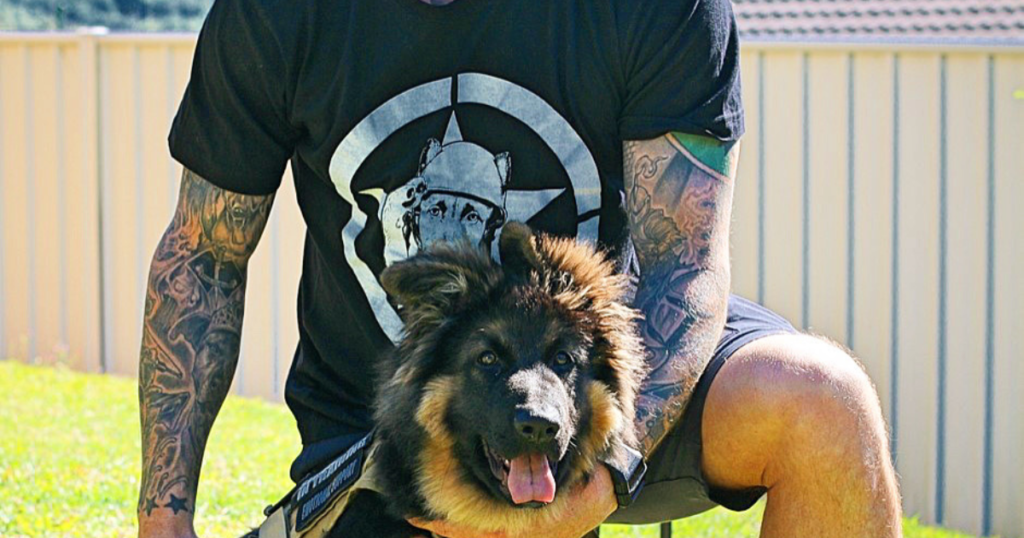 Separation anxiety training for rescue dogs on the Gold Coast