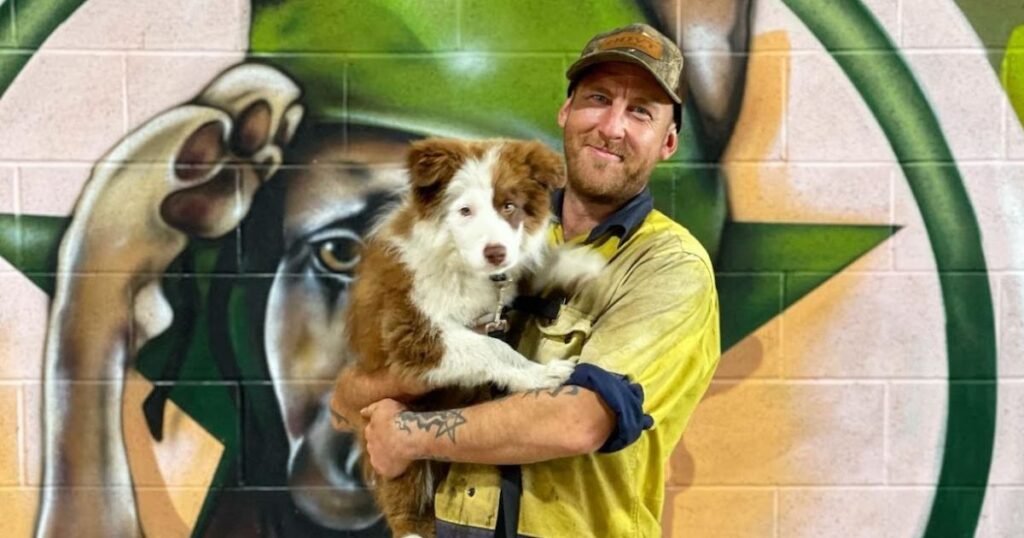 Professional dog trainer working one-on-one with a dog during a Gold Coast board and train program