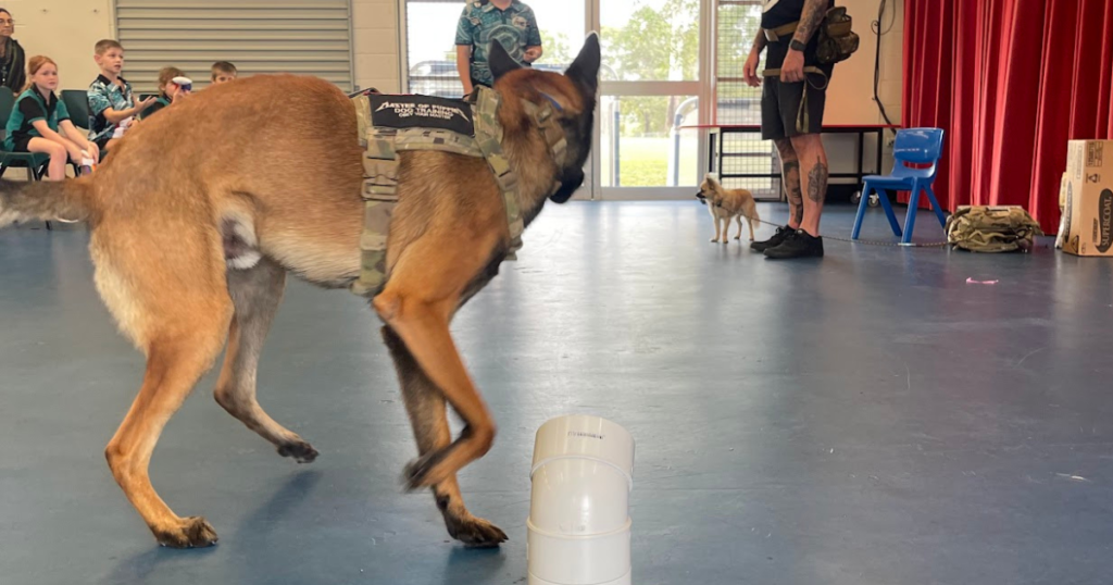 Puppy humping behaviour and mounting during play