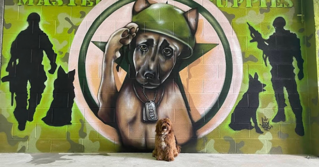Caring for a puppy with basic puppy care and training