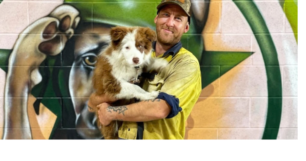 How Much Does Puppy Training Cost on the Gold Coast?